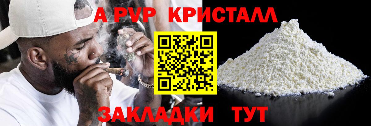 A PVP СК КРИС Тверь