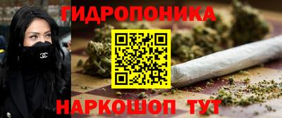 шишки Нальчик