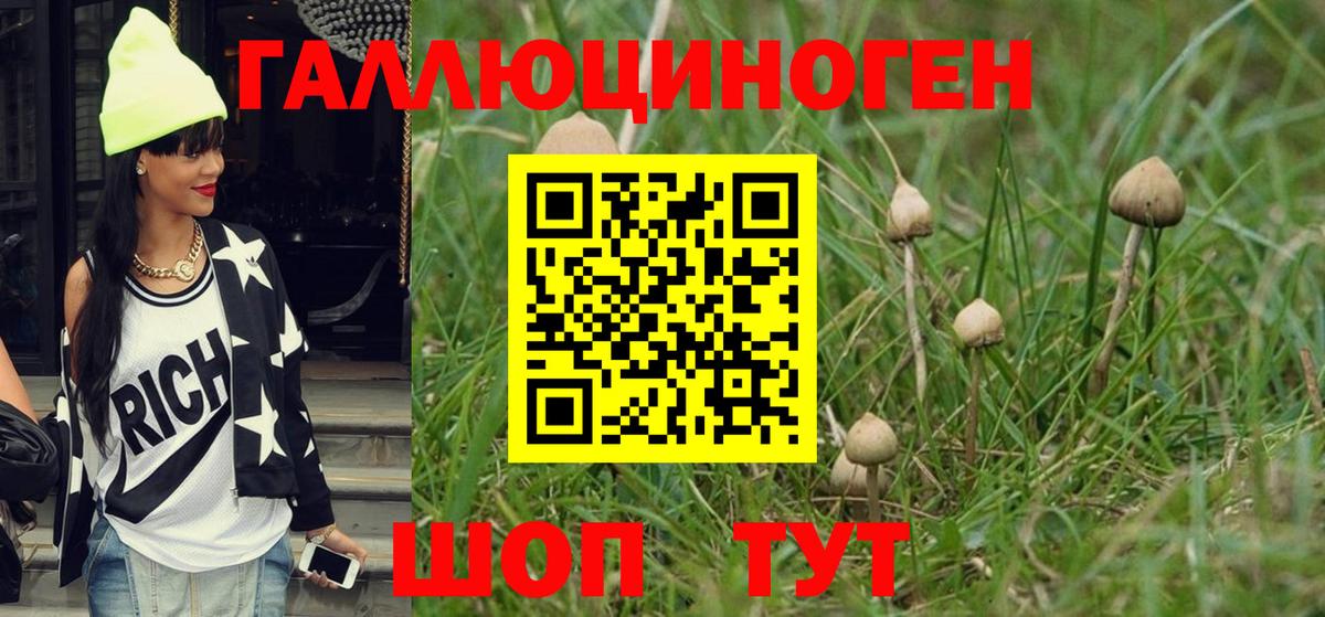 Галлюциногенные грибы Cubensis  цены наркотик  Тверь  Вход с VPN 